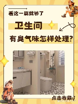 厕所有臭味怎么解决:全面解析与对策