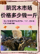 阴沉木价格多少钱一斤,阴沉木价格详解