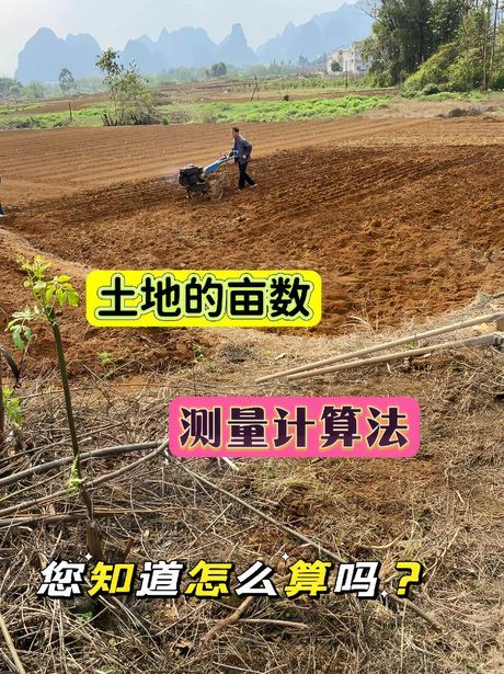 1亩等于多少平方米