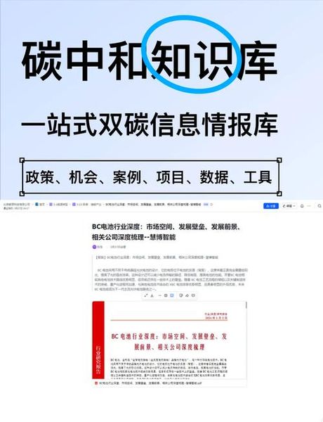 BC行业解析：光伏电池的新篇章