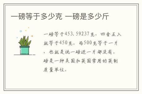 1磅等于多少公斤