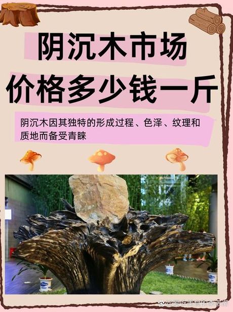 阴沉木价格多少钱一斤，阴沉木价格详解