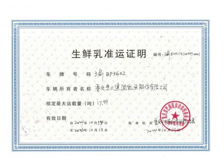 元旦节教室的墙壁该怎么装饰，元旦节教室墙壁装饰指南