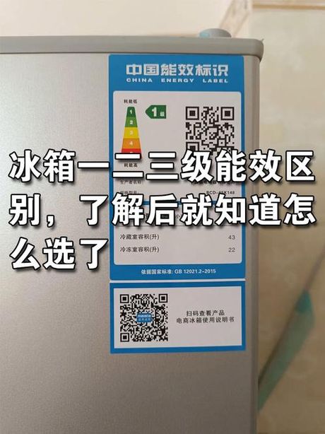 冰箱的能效等级是什么意思