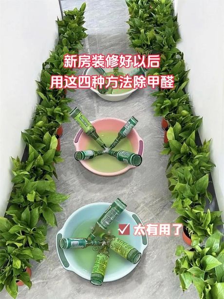 装修后除甲醛最有效的方法