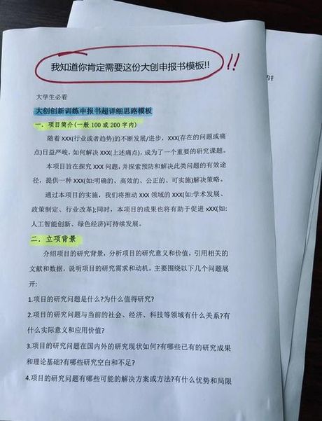 项目申请书怎么写，项目申请书撰写指南