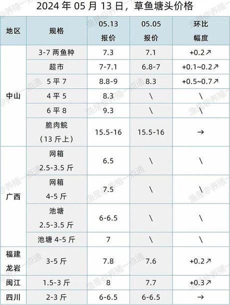 马鲛鱼多少钱一斤，马鲛鱼价格信息
