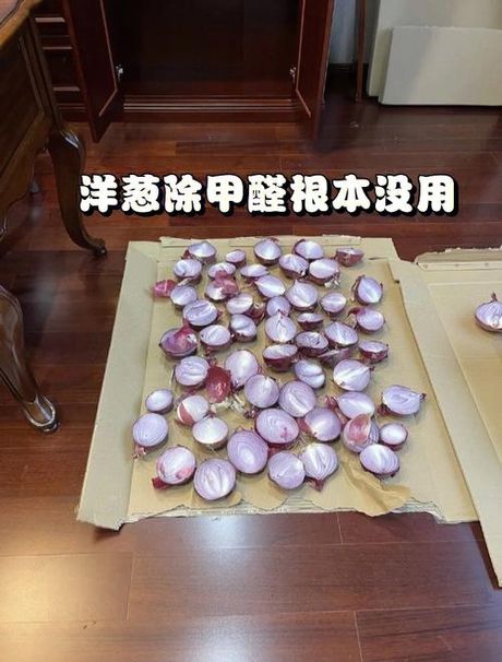 洋葱除甲醛最有效方法
