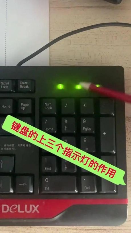 键盘上的第三个灯怎么关