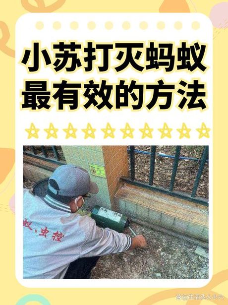 灭蚂蚁最有效的方法