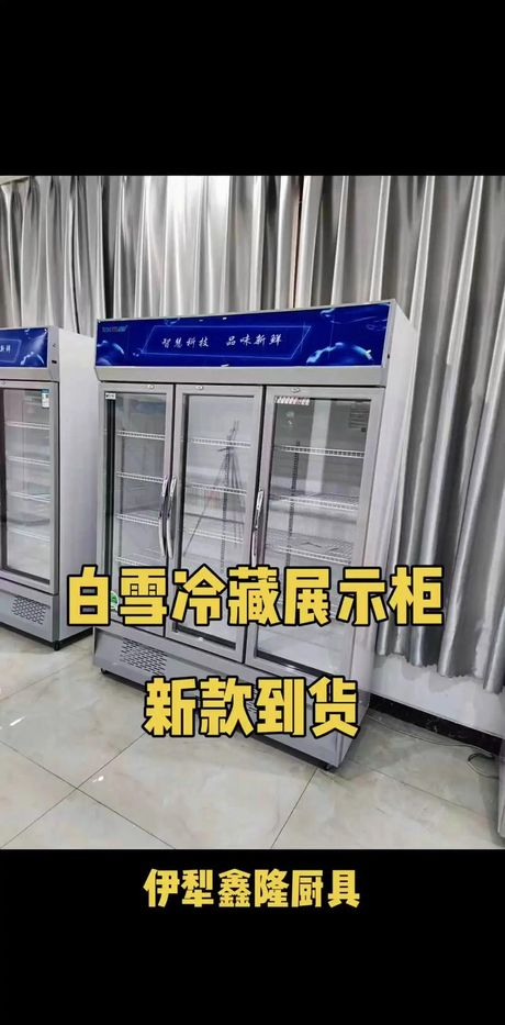 白雪冰柜怎么样
