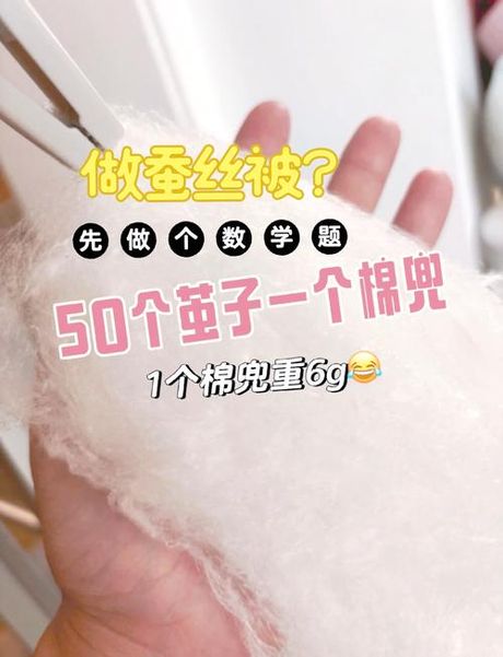 蚕茧怎么做蚕丝被