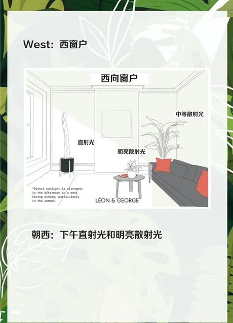 家里装修太暗怎么办，室内光线不足终极解决指南