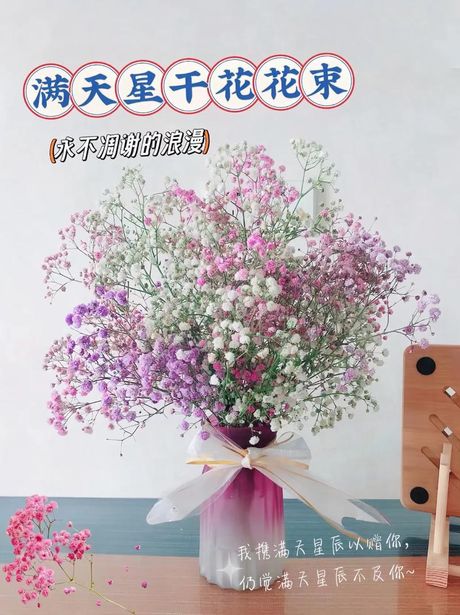 满天星干花怎么制作，满天星干花制作详细指南