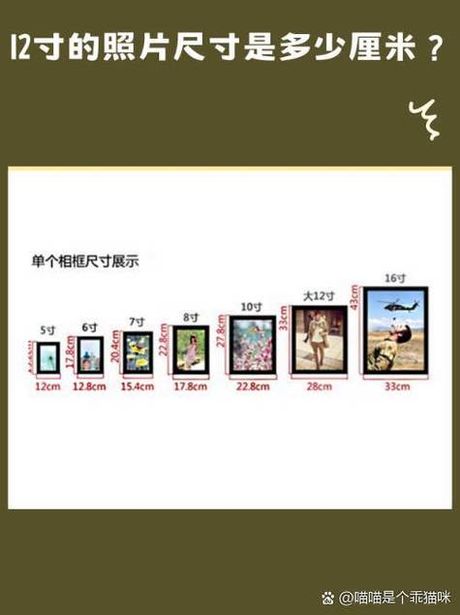 2寸是多少厘米，2寸等于多少厘米？
