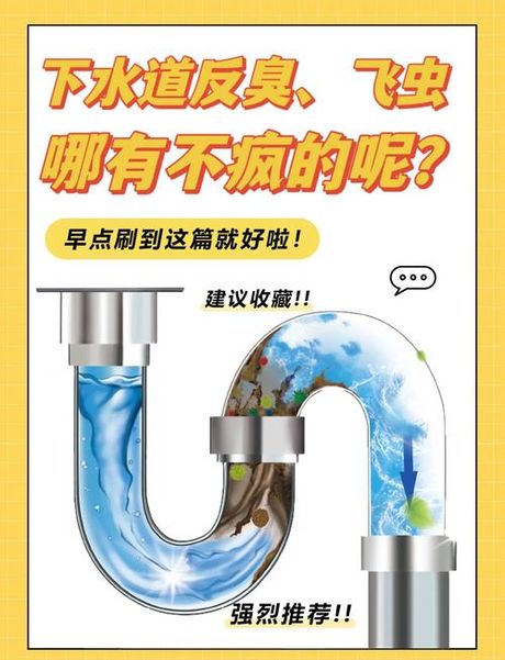 厕所下水道反味怎么办，厕所下水道反味解决攻略
