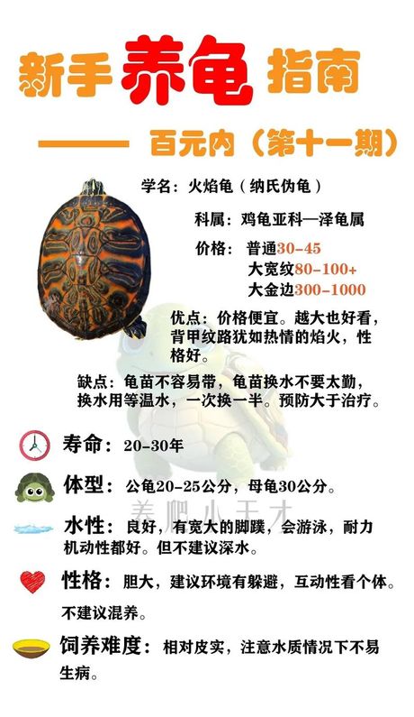 火龟怎么抓，火龟捕捉指南