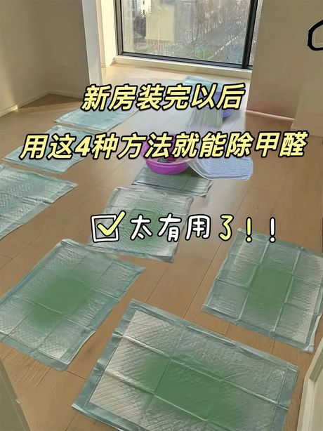 新装修的房子怎么去甲醛和异味
