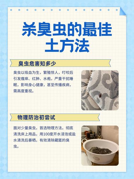 臭虫臭味怎么快速消除，去除臭虫的方法
