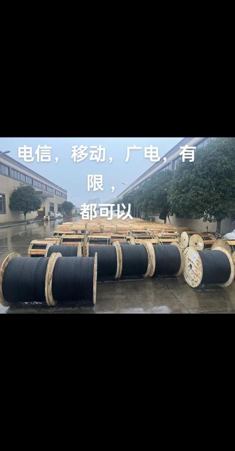 24芯光缆多少钱一米，24芯光缆的价格分析