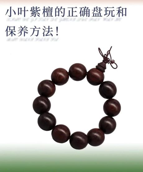 小叶紫檀怎么养，小叶紫檀的养护方法