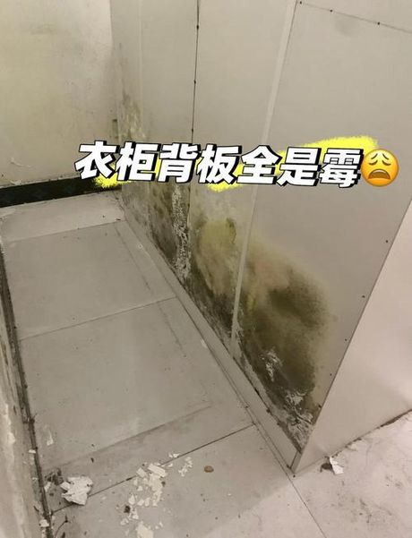 柜子发霉怎么办，处理柜子发霉的方法