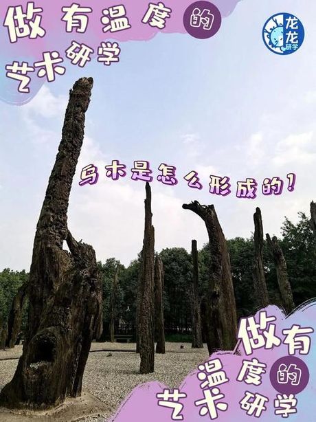 乌木是怎么形成的，乌木的形成