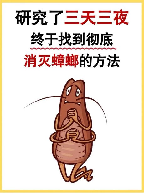 灭蟑螂的方法，灭蟑螂的有效方法