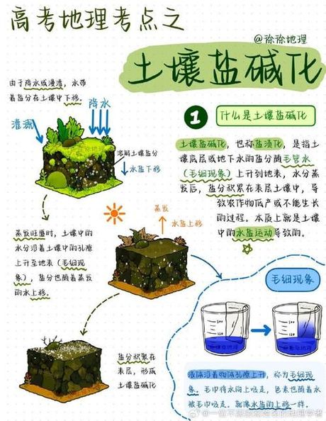 酸性土壤怎么弄，酸性土壤处理方法