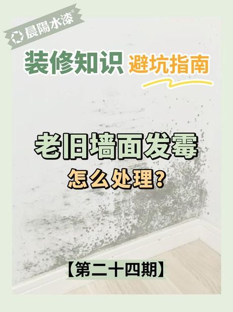 墙壁发霉怎么办，处理墙壁发霉的方法