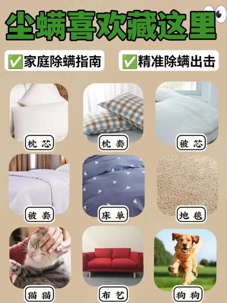 除螨虫的方法，家庭装修中的除螨虫方法