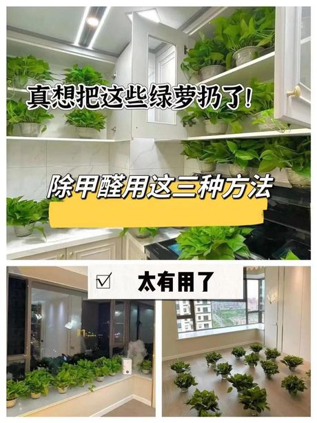 新装修的房子怎么去甲醛