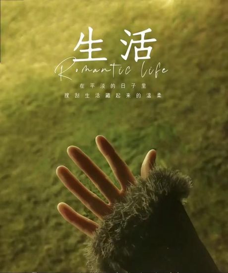 美颂雅庭：高品质安逸生活的首选