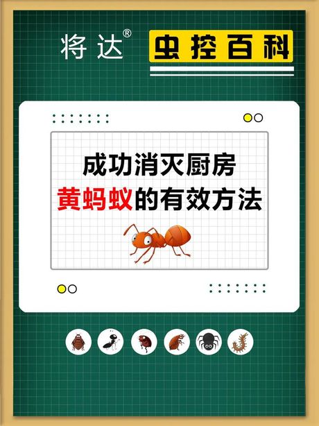 厨房蚂蚁消灭方法