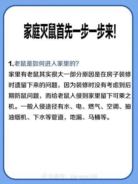 家里有老鼠怎么办能除根