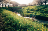福庆家居：高品质家居生活，让你idyllic