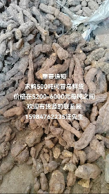 何首乌价格，今日何首乌价格持续上涨