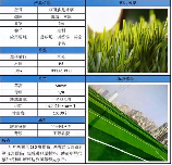 人造草皮多少钱一平方，人造草皮价格解析