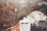 品味香醇的茉莉花茶：八种茉莉花茶的种类介绍