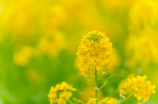 花都装饰：为您打造舒适的家居