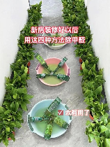 装修后除甲醛最有效的方法