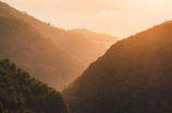 探秘丛林之旅：探寻神秘的自然奇观