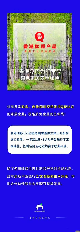 红苹果家具综合评测：品质与服务的双重考量