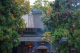 上海房产交易税政策解读