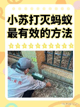 灭蚂蚁最有效的方法