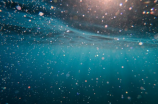 浅谈螺翼式水表：如何选择一款合适的螺翼式水表?