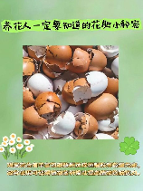 花肥制作方法