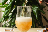 世界最好喝的啤酒：皮尔诺(Pilsner Urquell)