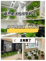 室内去甲醛最好的方法