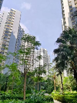 龙军花园：打造您的梦想家园